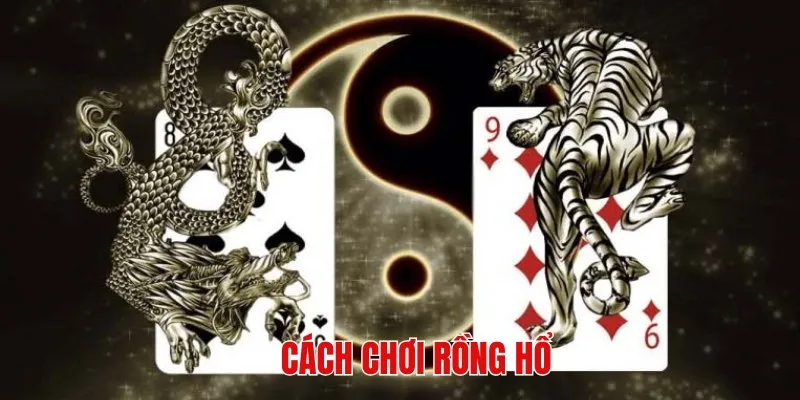 Khám phá quy tắc cơ bản của trò chơi Dragon Tiger